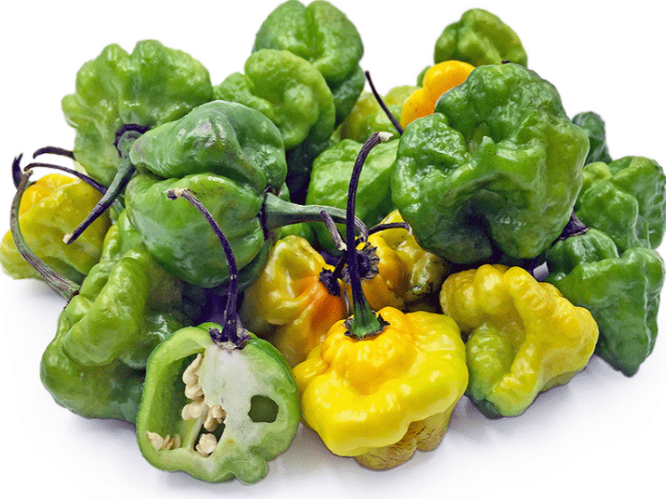 An assortment of Jamaican Scotch Bonnet Peppers