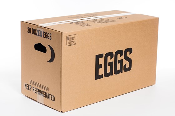 a box of eggs