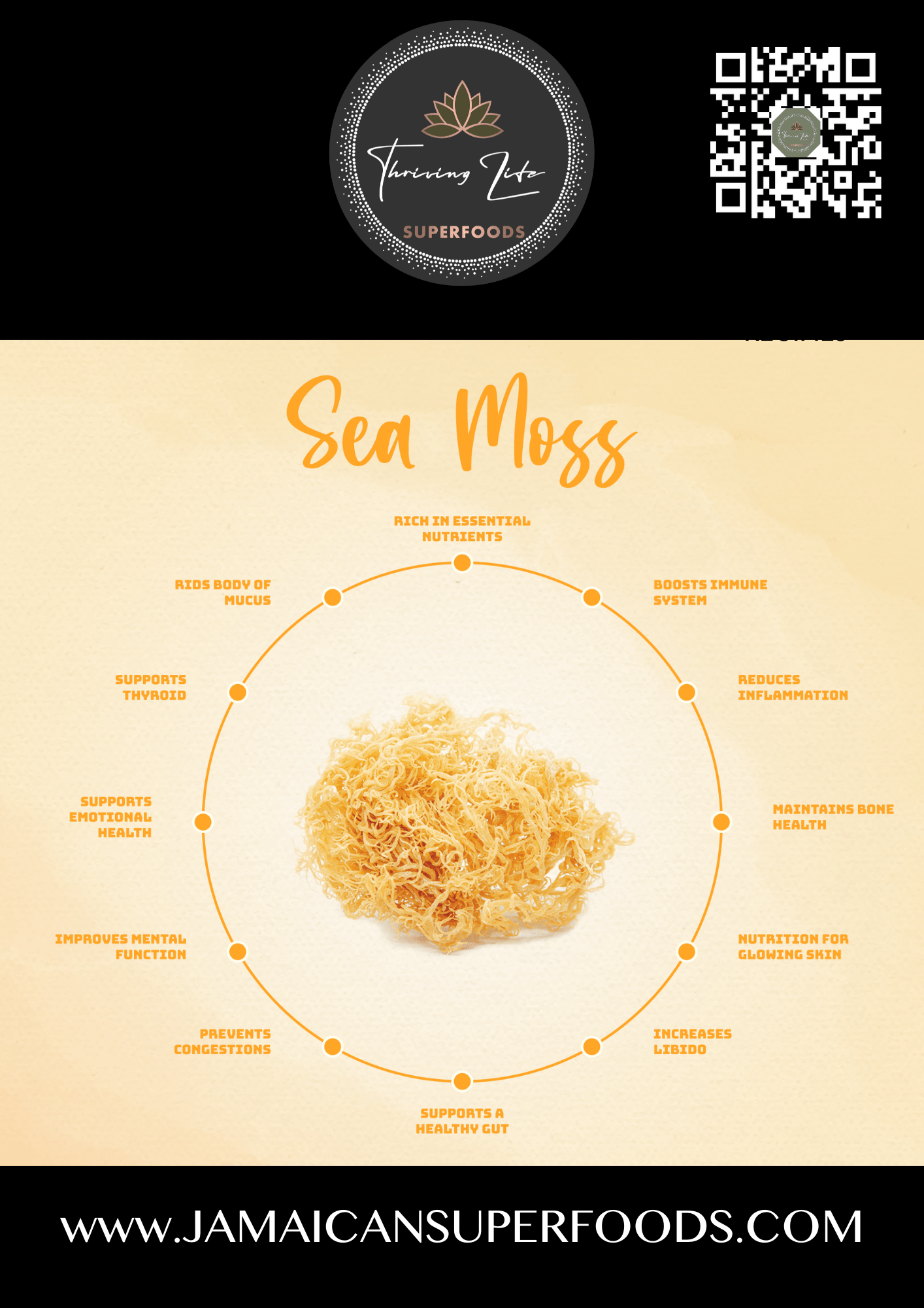 BULK WILDCRAFTED DRIED JAMAICAN IRISH (SEA) MOSS (5KG) - Image 3