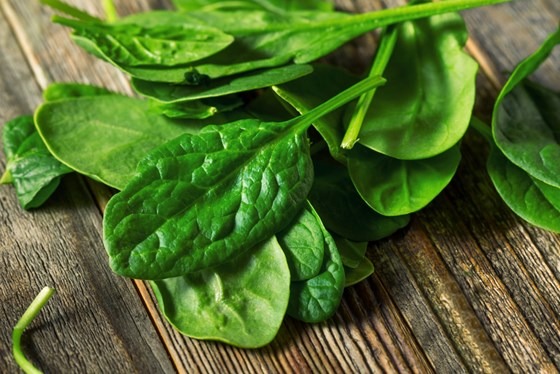 Freshly cut spinach on a table