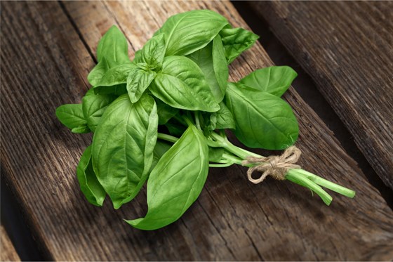 a bunch of basil on a table