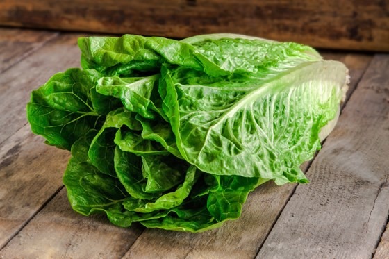 Romaine lettuce on a table