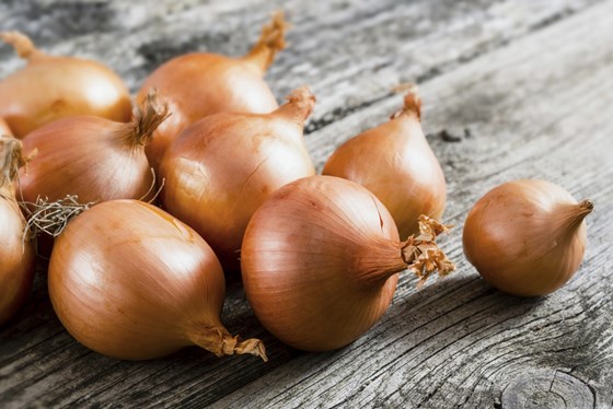 yellow onions on a table