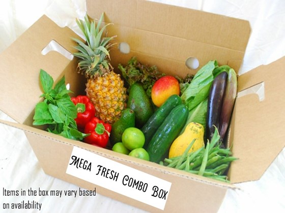 A grocery box with assorted fruits and vegetables