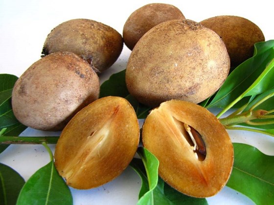 freshly picked nasberry fruits with green leaves