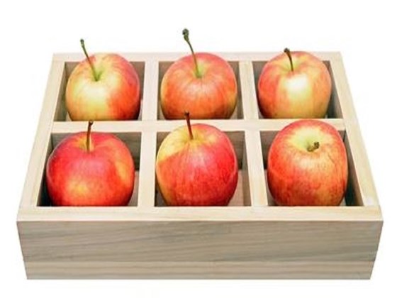 a box of six gala apples