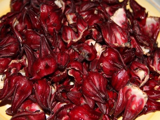 Jamaican red sorrel on counter top