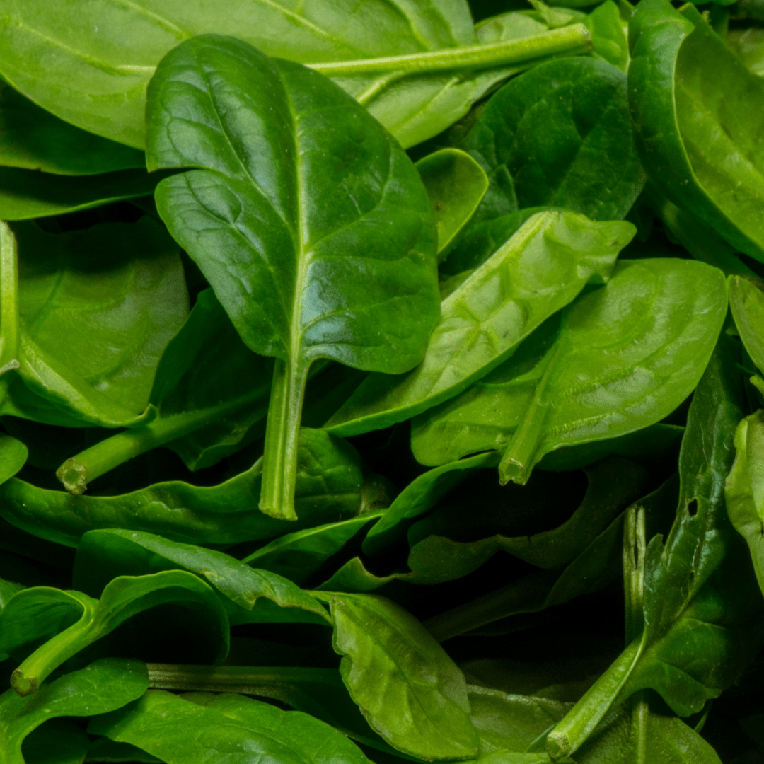 a bunch of spinach leaves