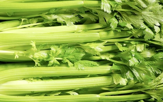 a bunch of celery freshly picked