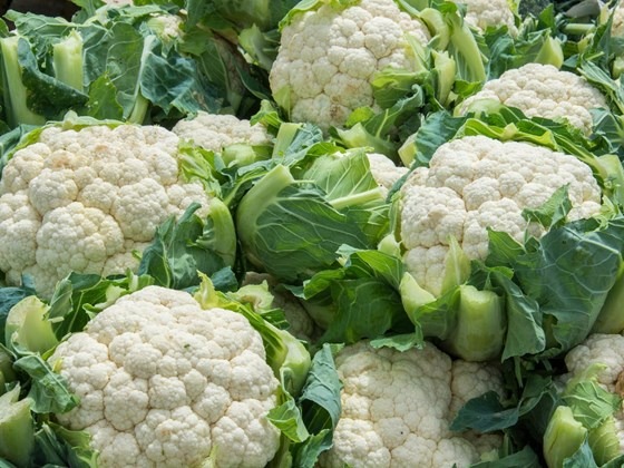freshly reaped cauliflower ready to prepare