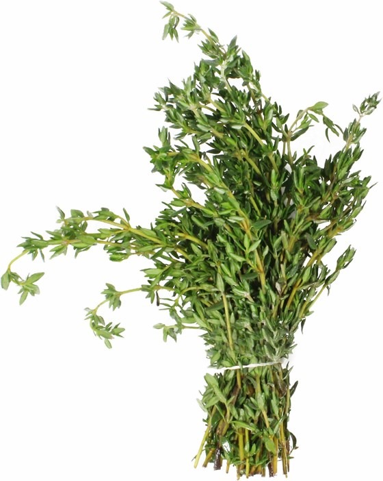 bundle of fresh thyme