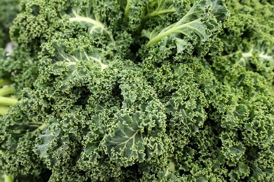 a bundle of fresh kale