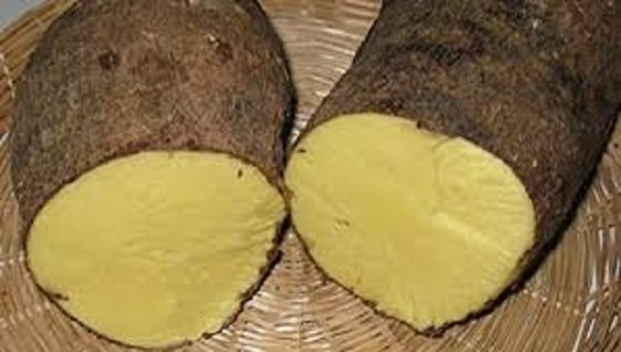 yellow yam in basket