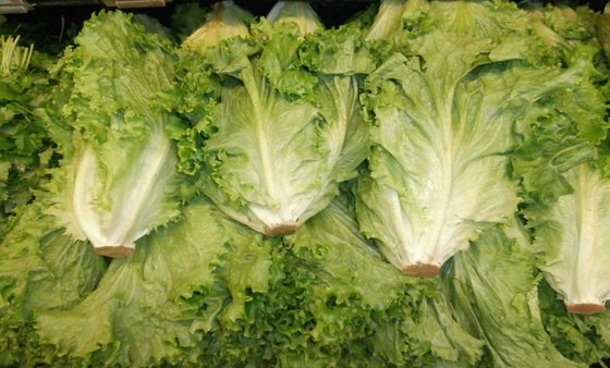 a bunch of leafy lettuce