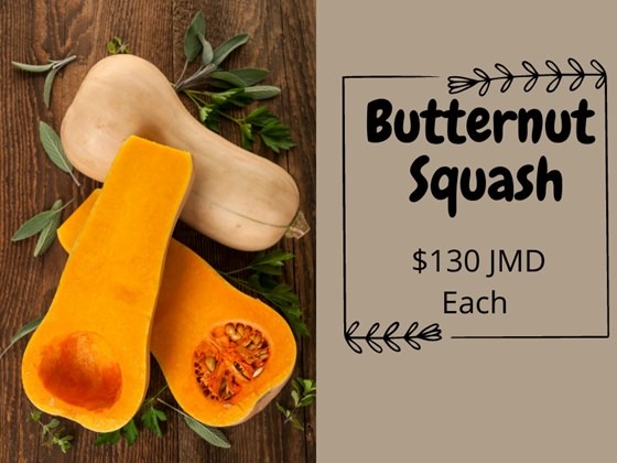 Butternut squash sliced with green leaves on table