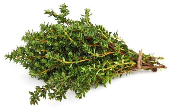a bundle of thyme