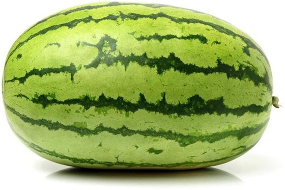 sweet whole watermelon