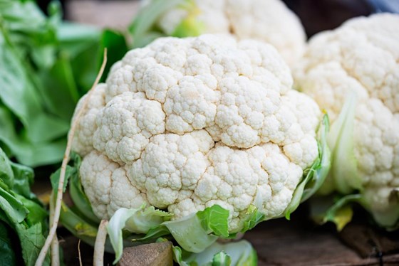 cauliflower plant