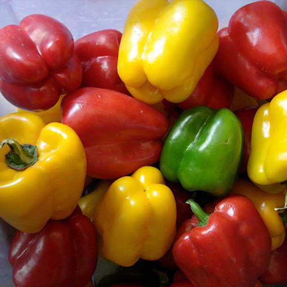 assorted colours bell peppers