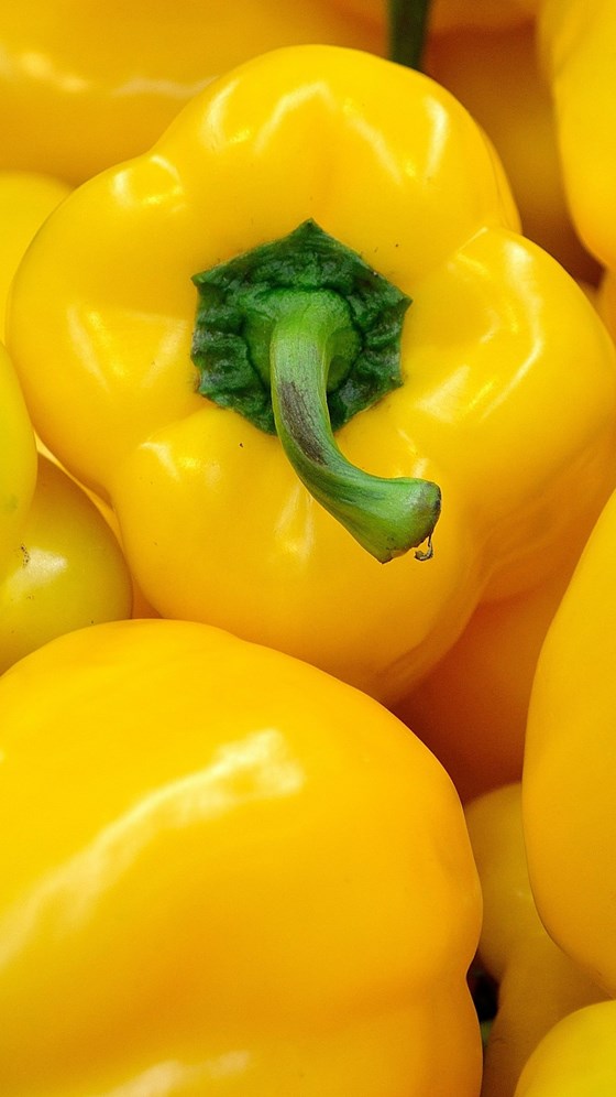 a yellow bell pepper