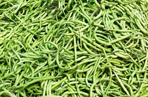 a pound of green string beans