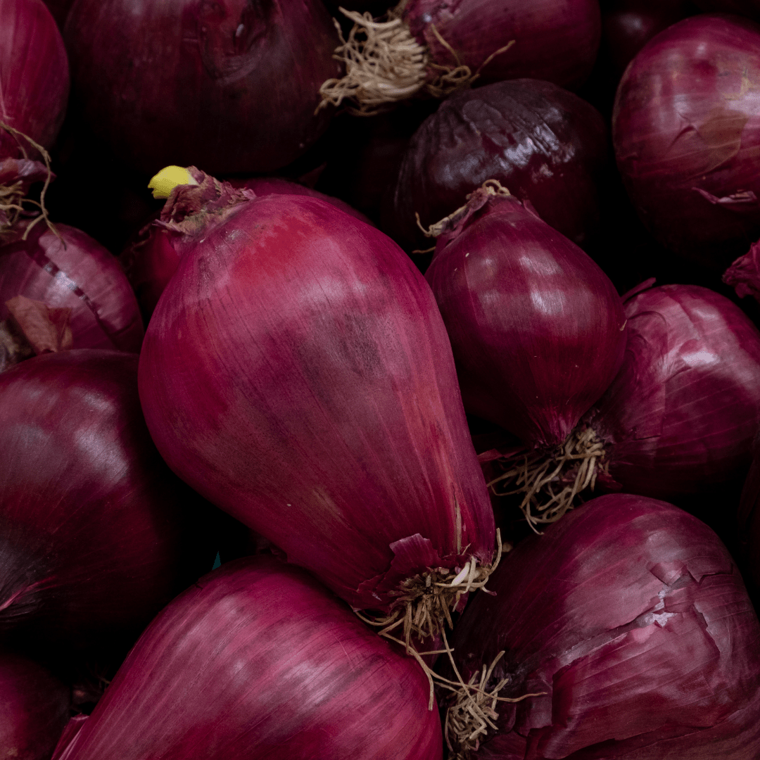 a bunch of purple onions