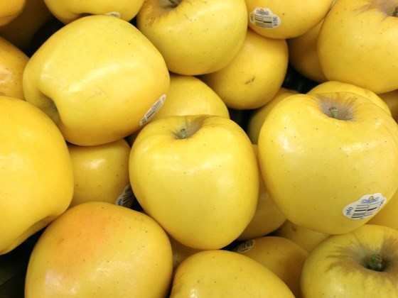 sweet golden american apples