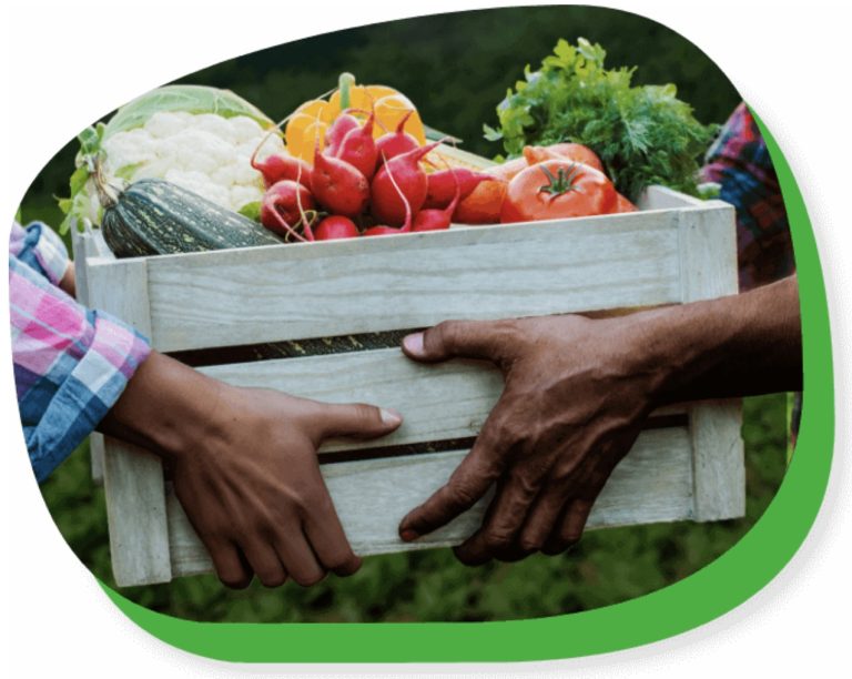 a box filled with fresh vegetables