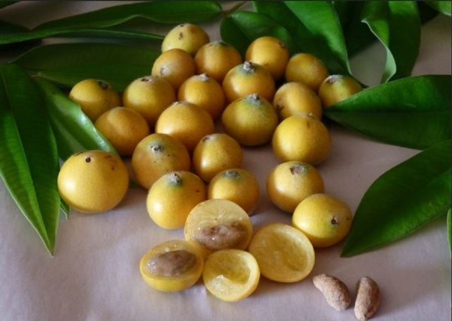 Yellow Jaboticaba Fruits with green leaves on white surface