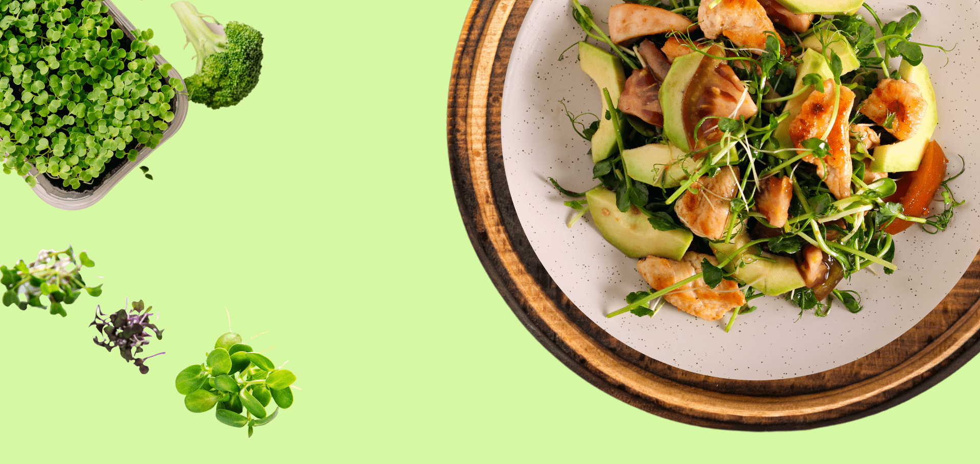 Vibrant microgreens chicken salad