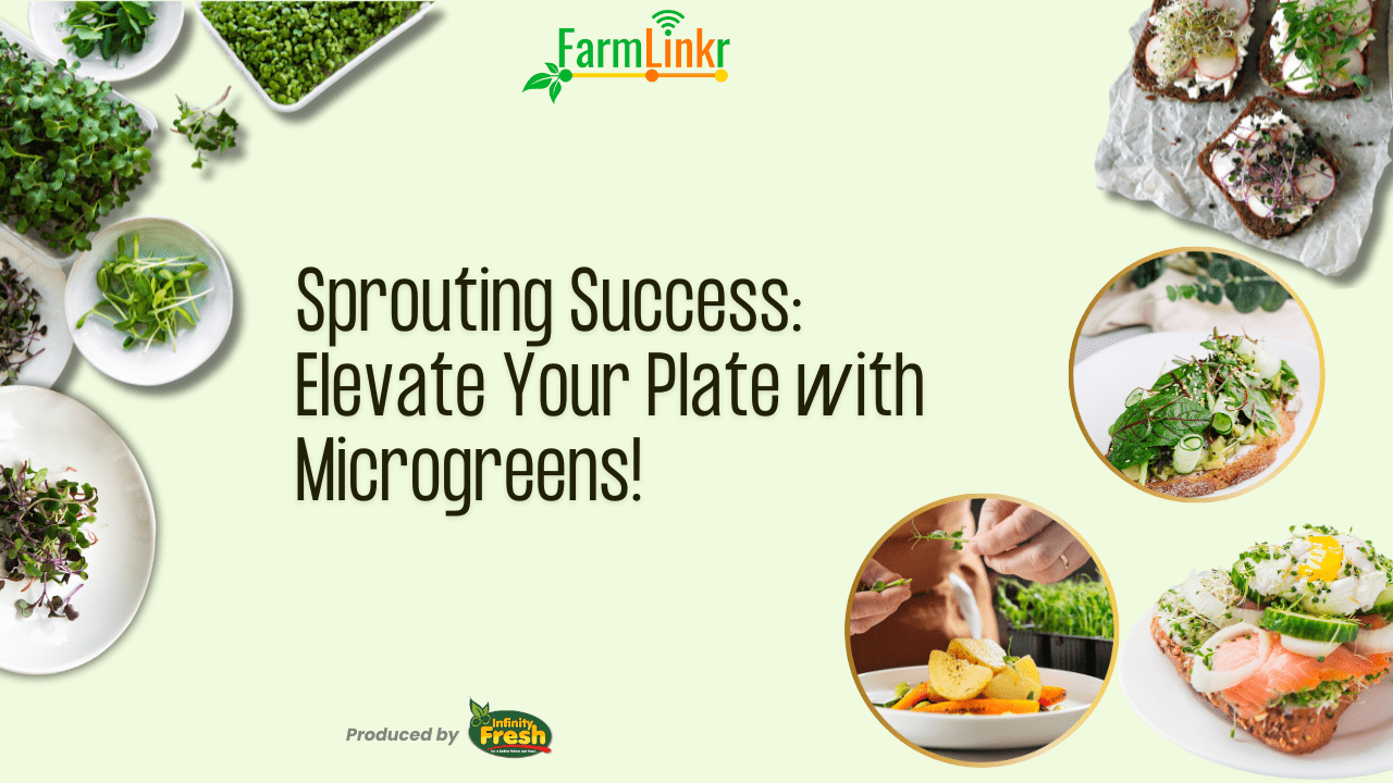 Microgreens and Microgreens dishes video thumbnail